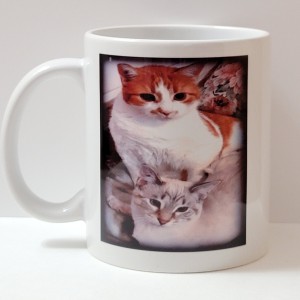 Picture Mug