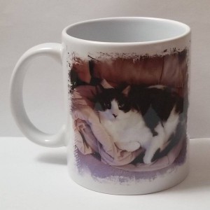 Picture Mug