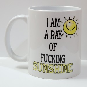 i am ray of fucking sunshine