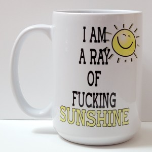 i am ray of fucking sunshine