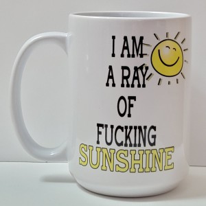 i am ray of fucking sunshine