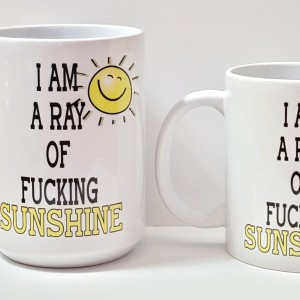 i am ray of fucking sunshine