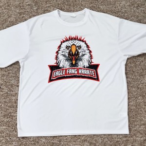 Eagle Fang Karate