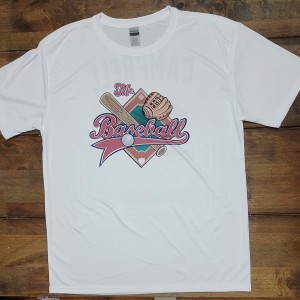 Mr. Baseball or Winnieg baseball