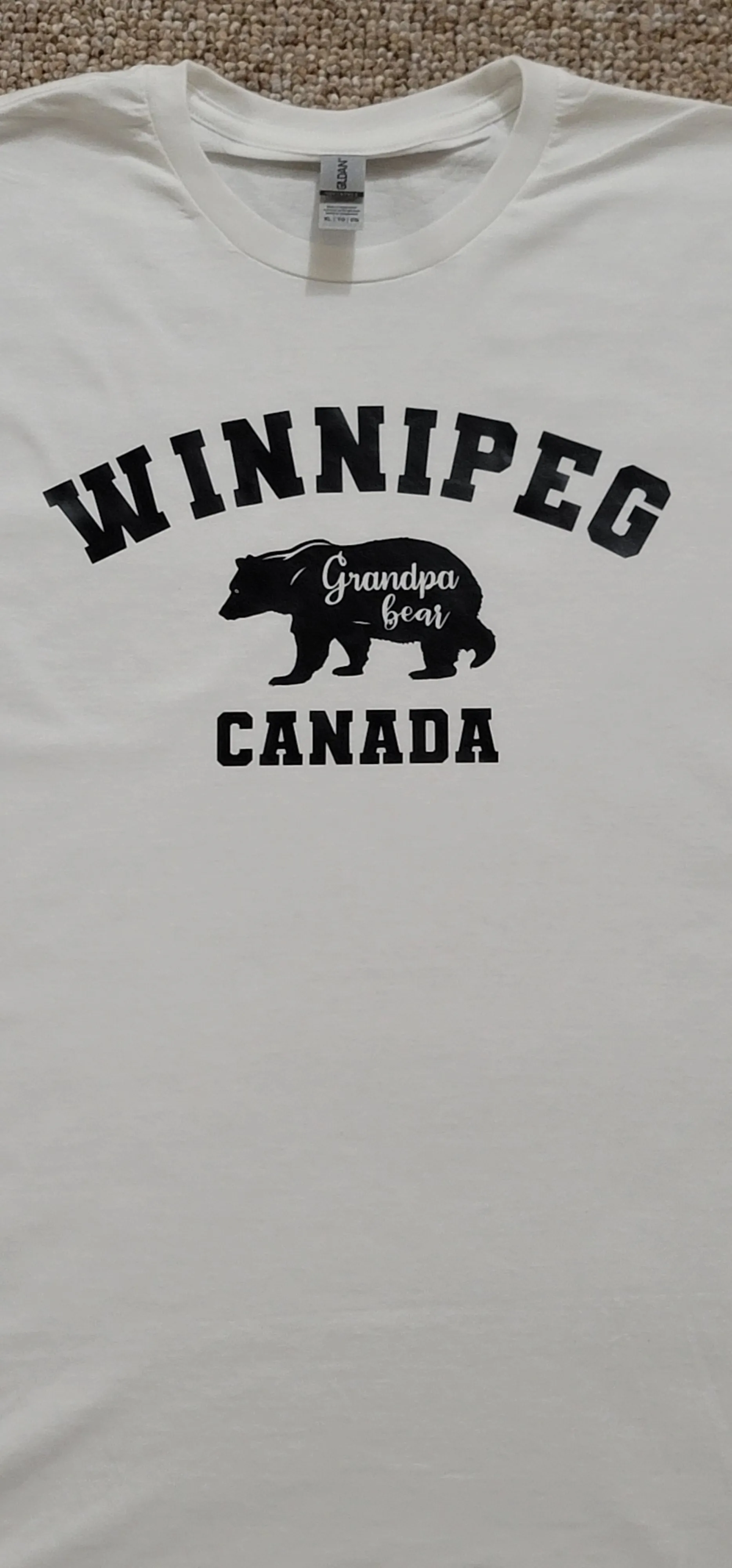 Winnipeg bear