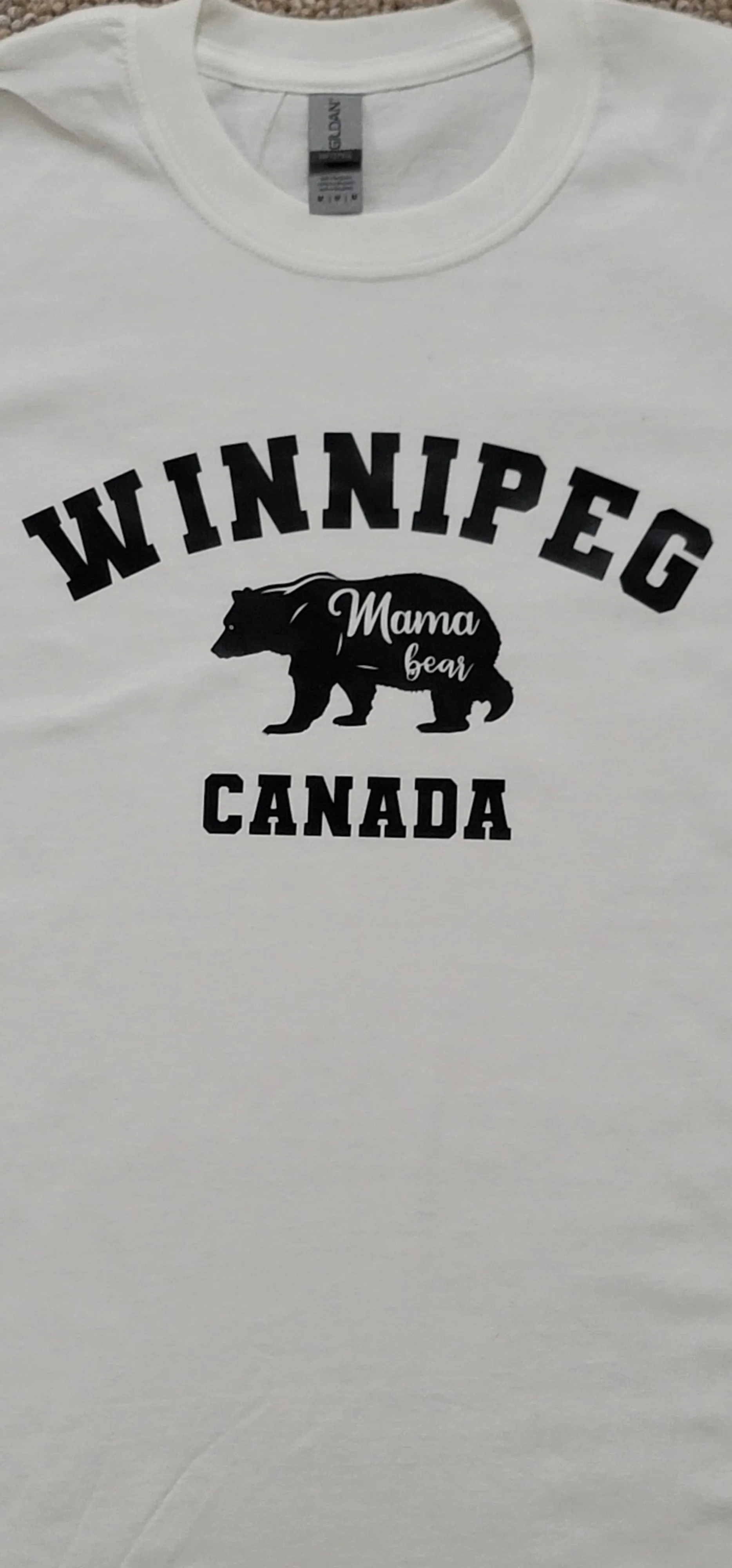 Winnipeg bear