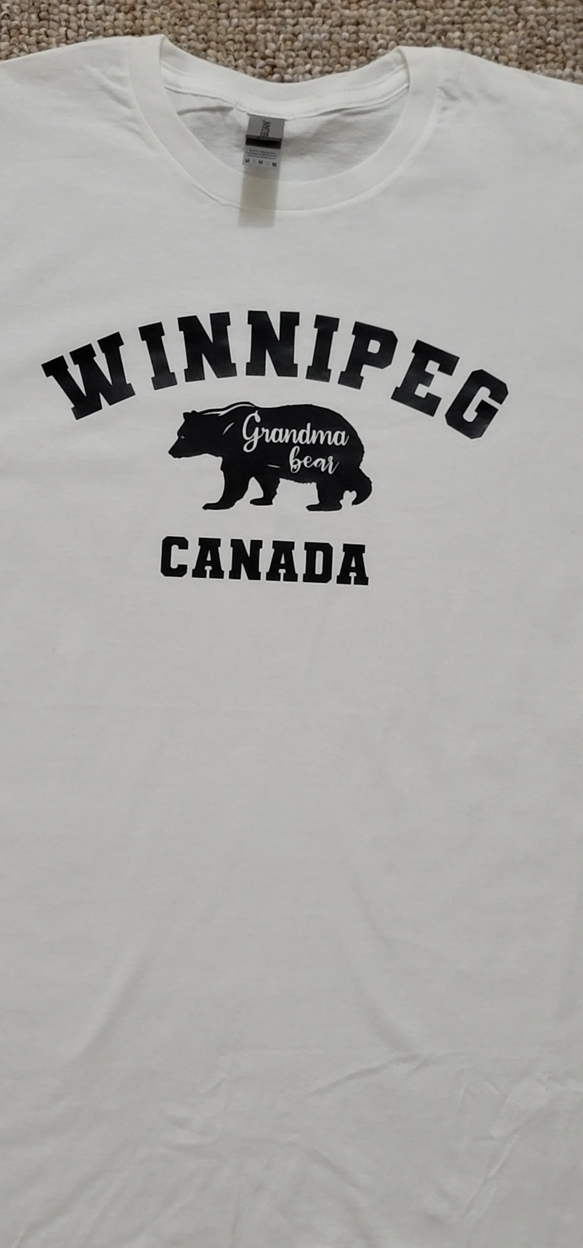 Winnipeg bear