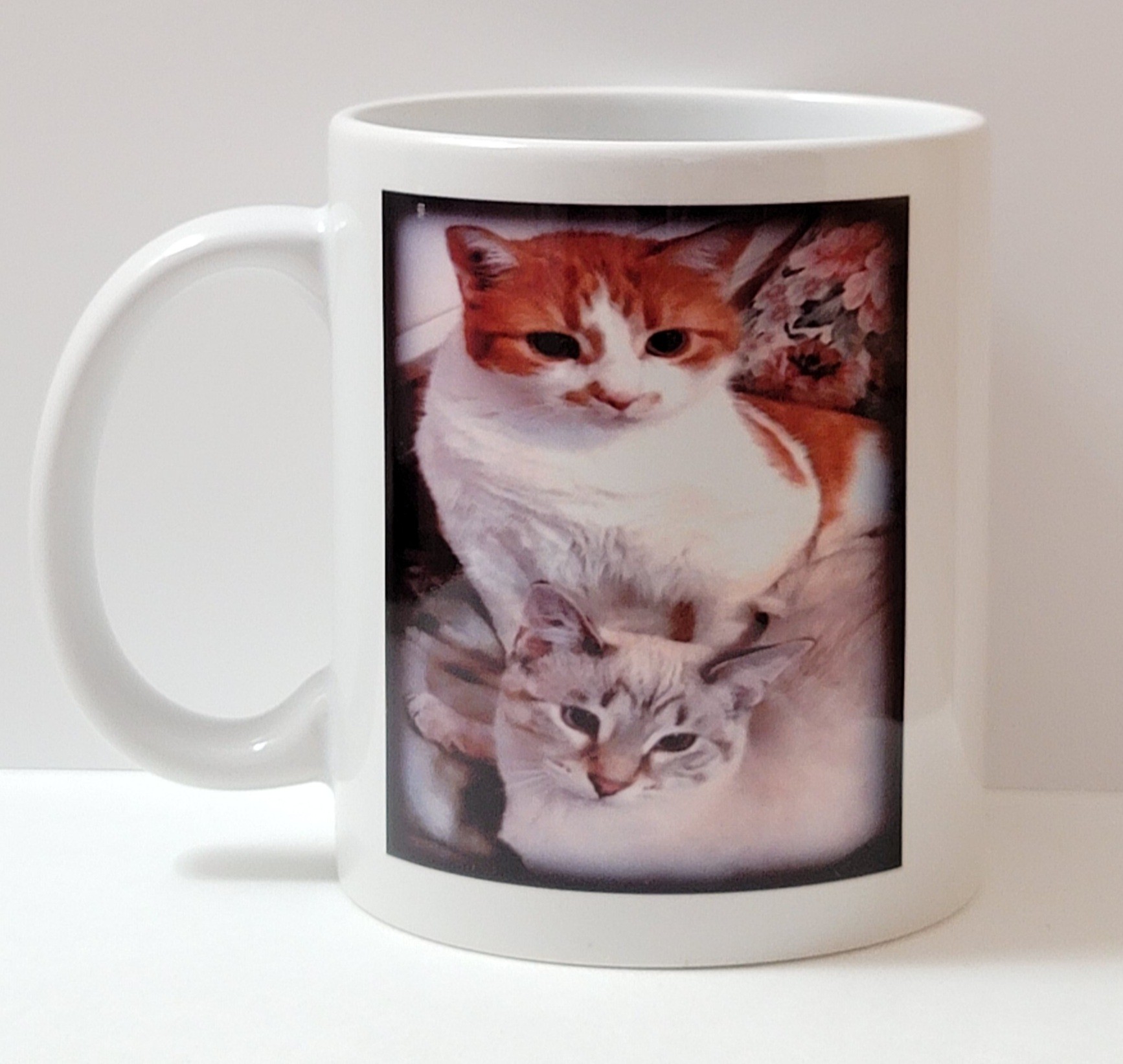 Picture Mug
